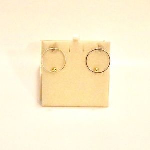 Two Toned Hoop Earrings